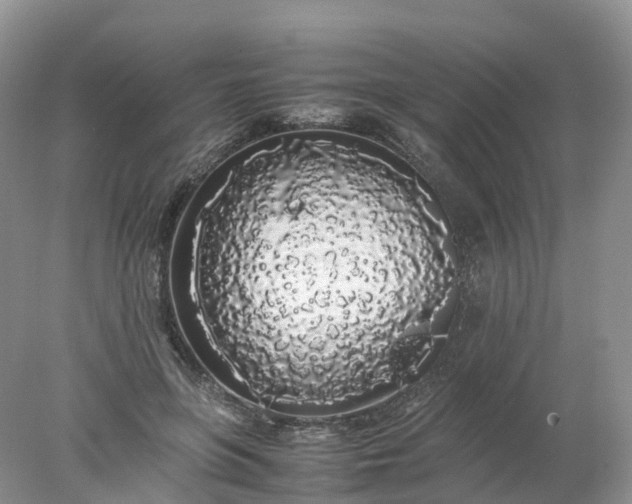 X0000078020551200611101849