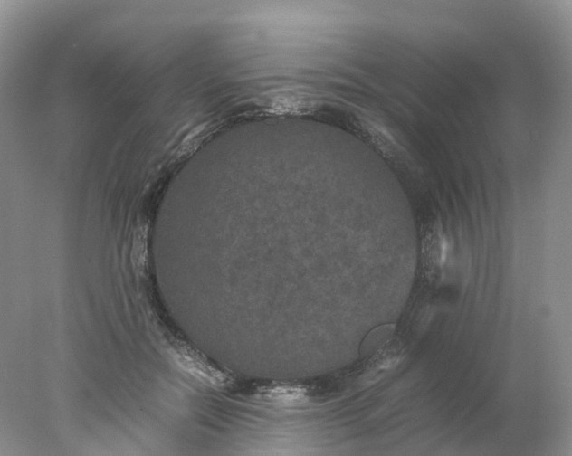 X0000078020554200611101849