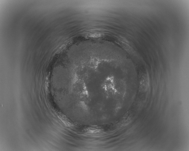 X0000078020555200611101849