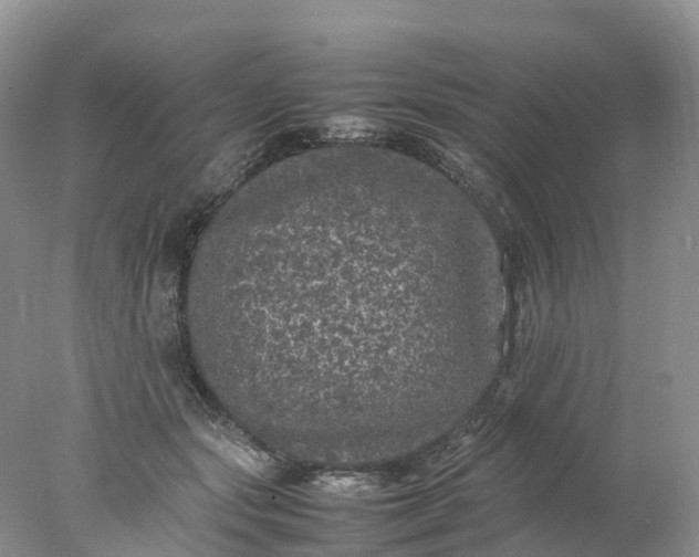 X0000078020557200611101849