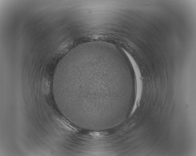 X0000078020558200611101849