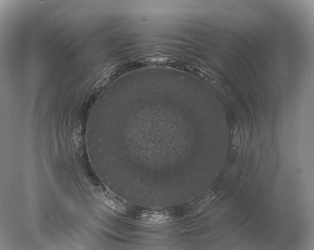 X0000078020559200611101850