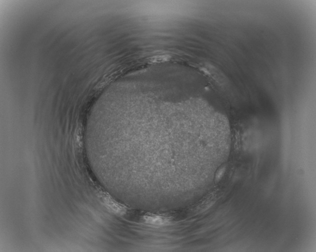 X0000078020561200611101850