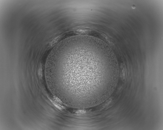 X0000078020562200611101850