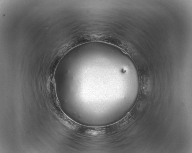 X0000078020563200611101850