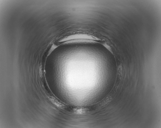 X0000078020564200611101850