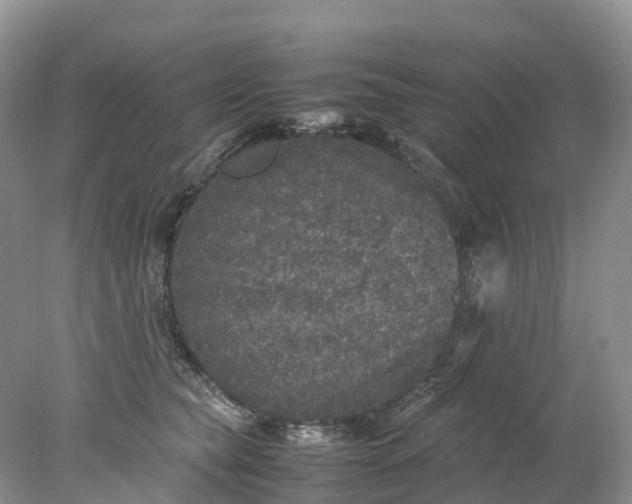 X0000078020565200611101850