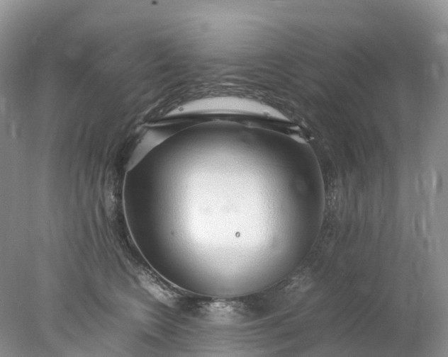 X0000078020566200611101850