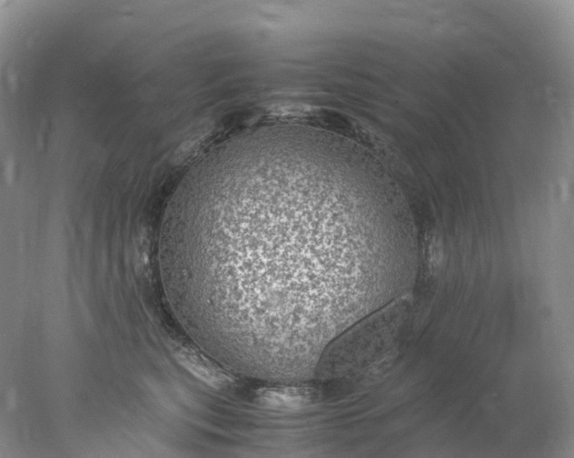 X0000078020567200611101850