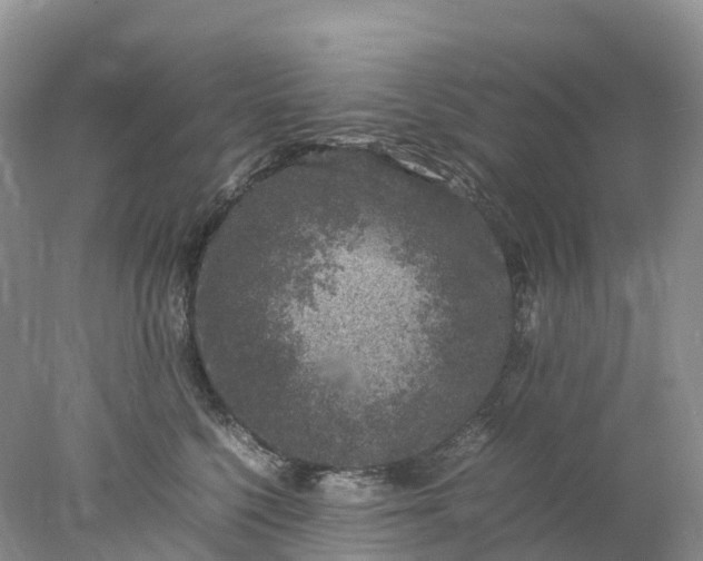 X0000078020568200611101850