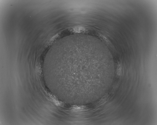 X0000078020569200611101850