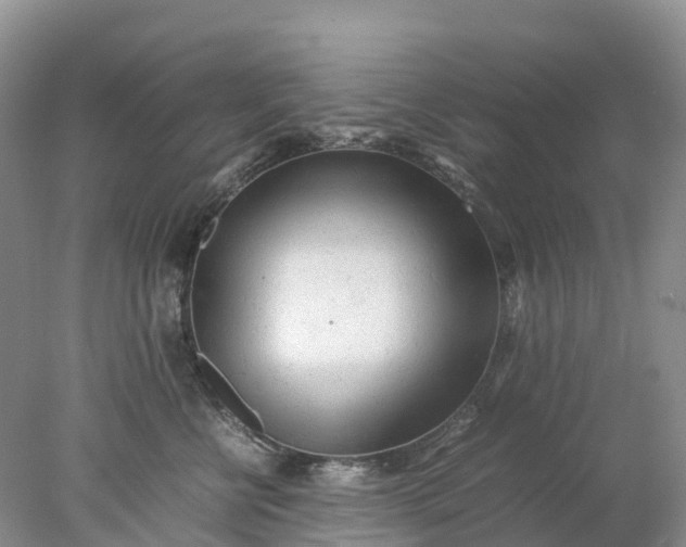 X0000078020570200611101850