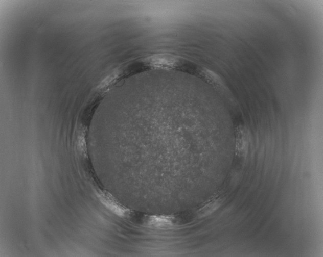 X0000078020573200611101850