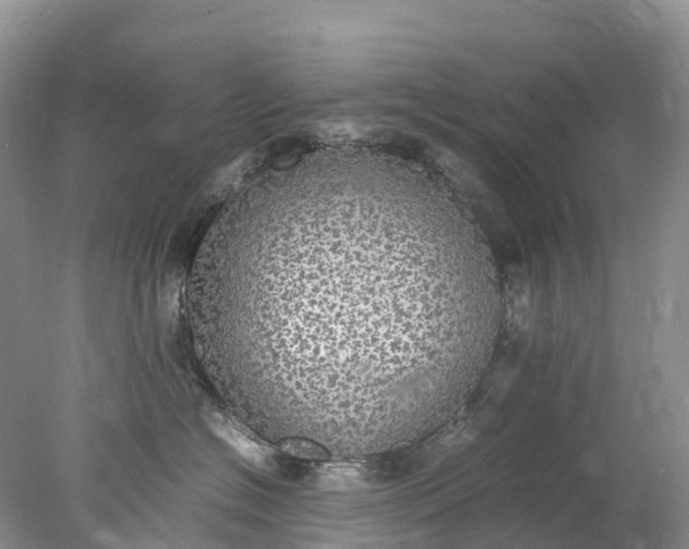 X0000078020574200611101850