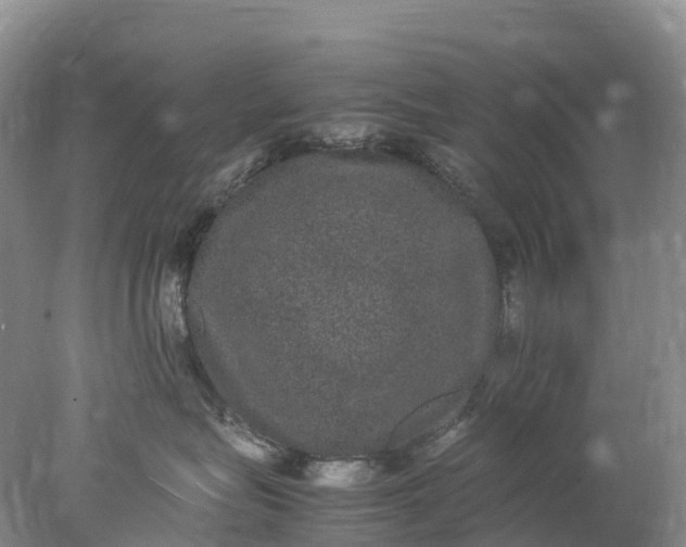 X0000078020575200611101850