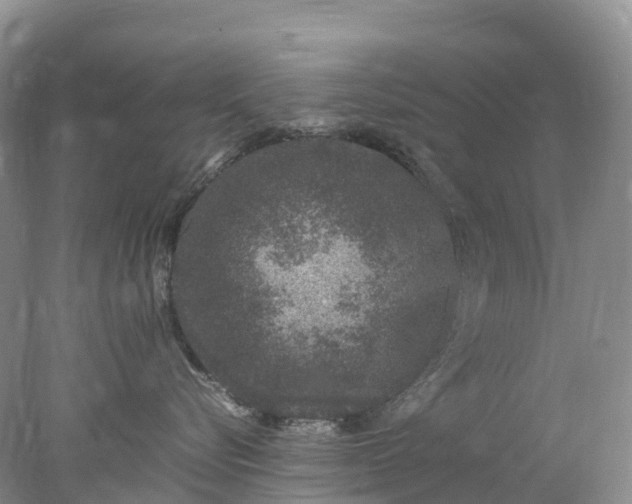 X0000078020576200611101850