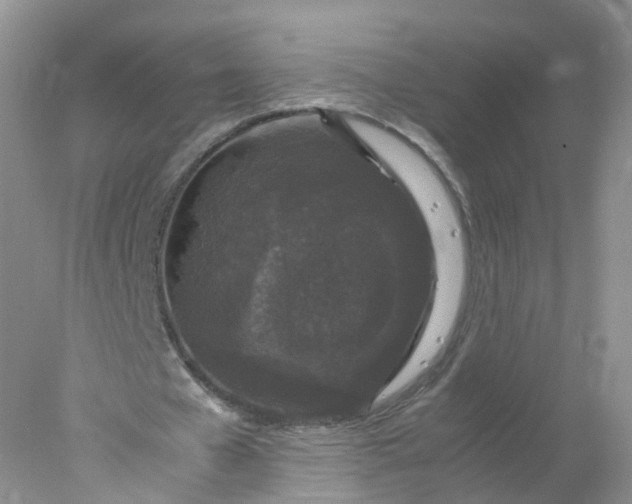 X0000078020577200611101849