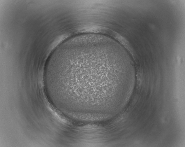 X0000078020578200611101849