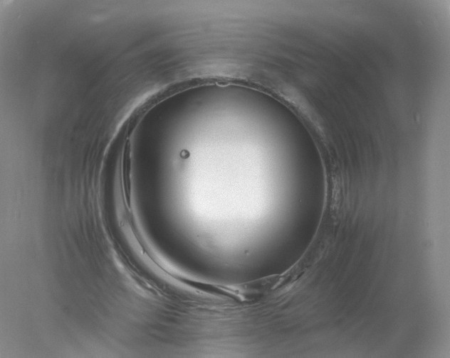 X0000078020580200611101849