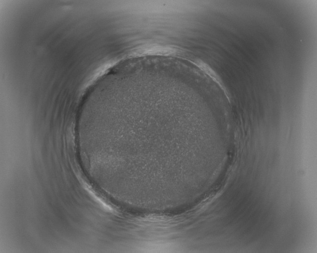 X0000078020581200611101849