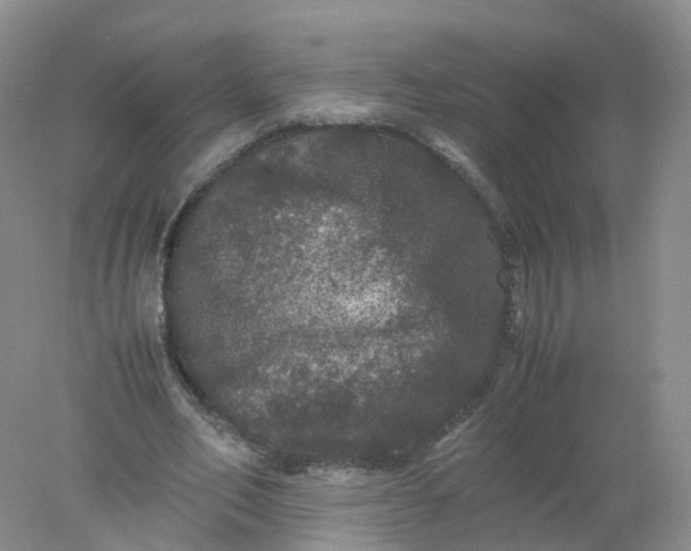 X0000078020582200611101849