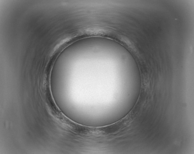 X0000078020583200611101849