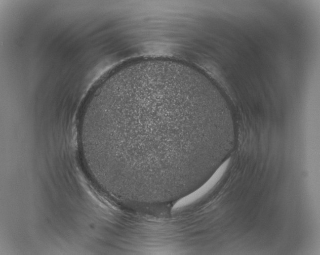 X0000078020584200611101849