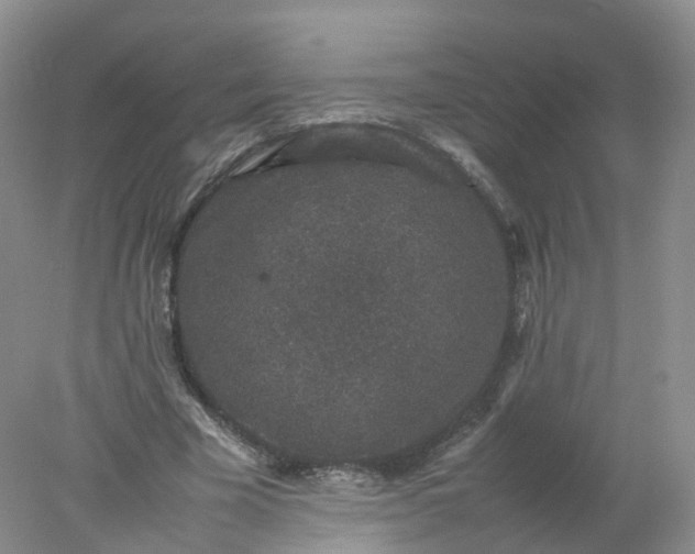 X0000078020585200611101849