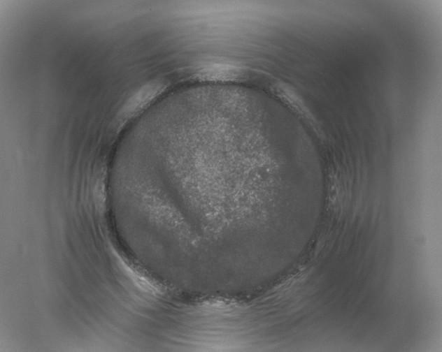 X0000078020586200611101849