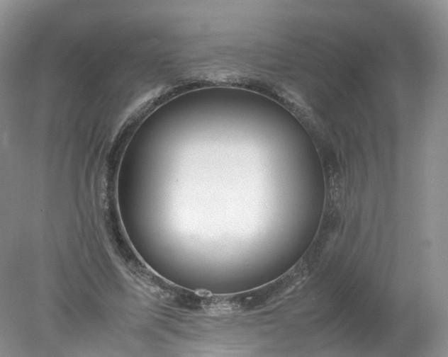 X0000078020587200611101849