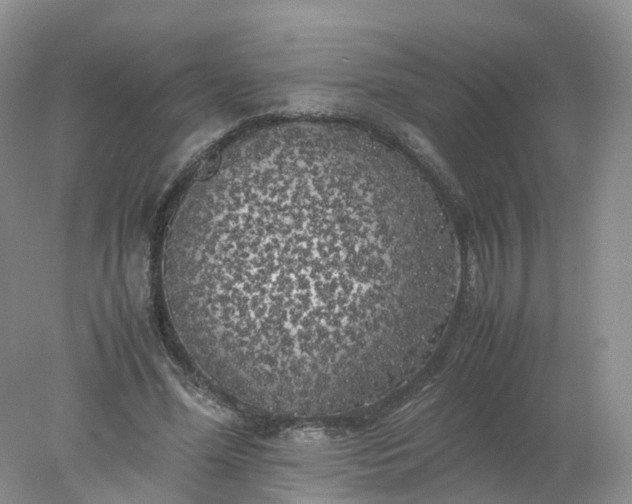 X0000078020588200611101849