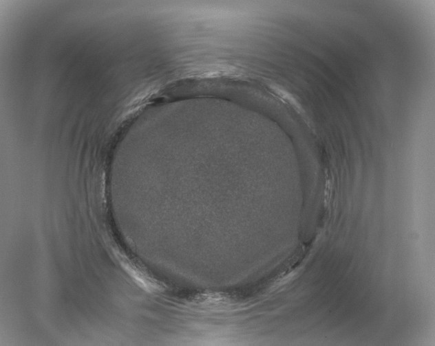 X0000078020589200611101849