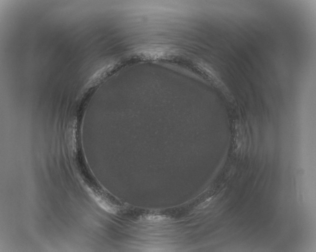 X0000078020590200611101849