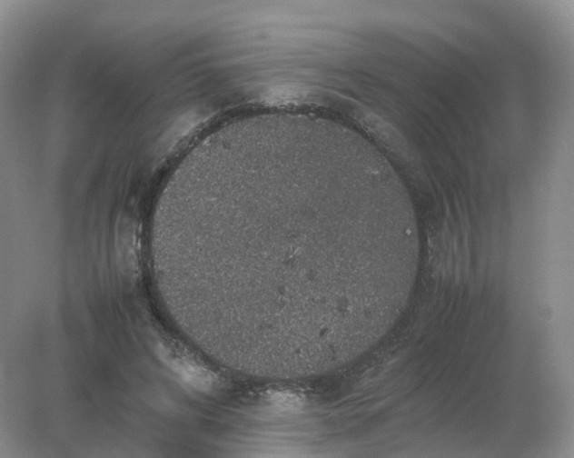 X0000078020592200611101849