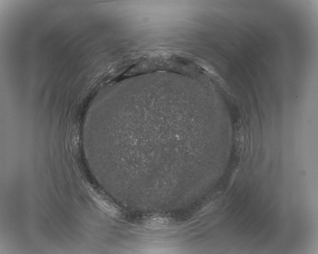 X0000078020593200611101849