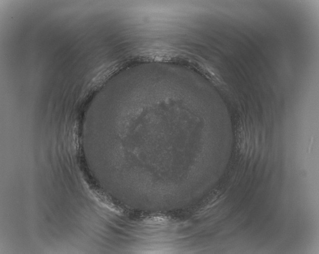 X0000078020594200611101849