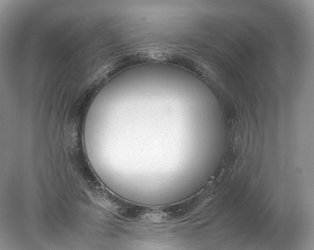 X0000078020595200611101849