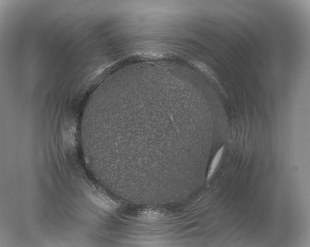 X0000078020596200611101849