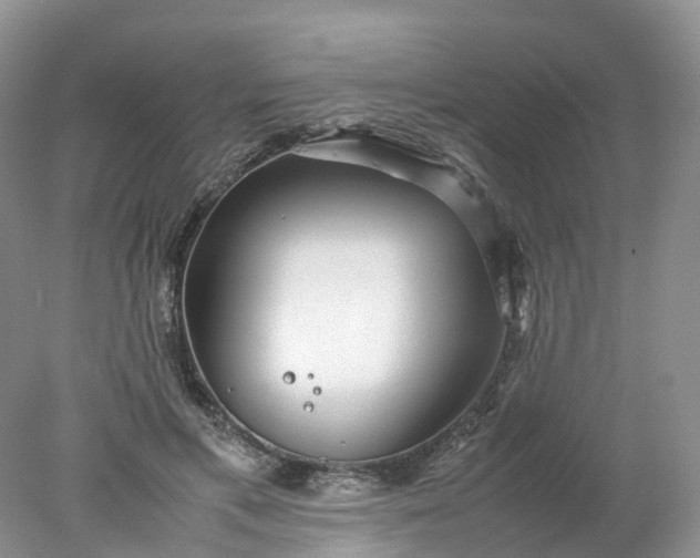 X0000078020597200611101849