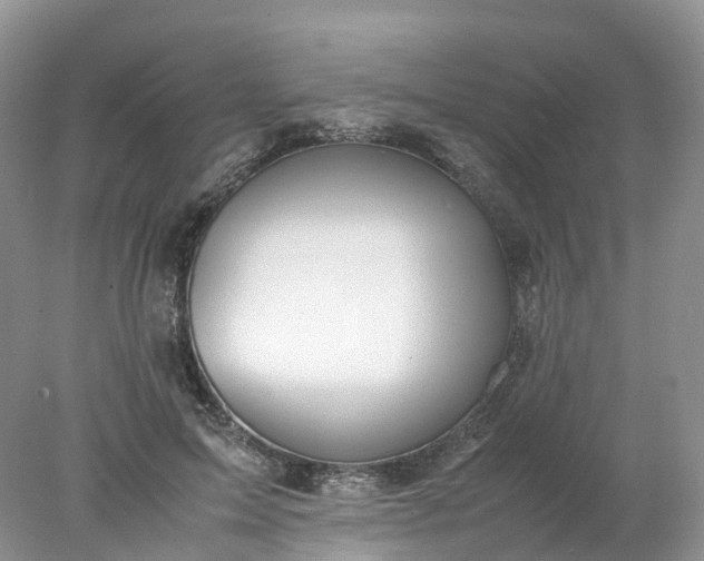 X0000078020599200611101849