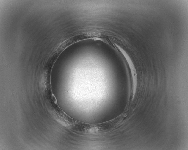 X0000078020600200611101849