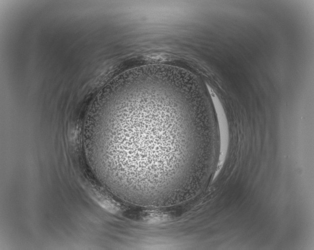 X0000078020601200611101849