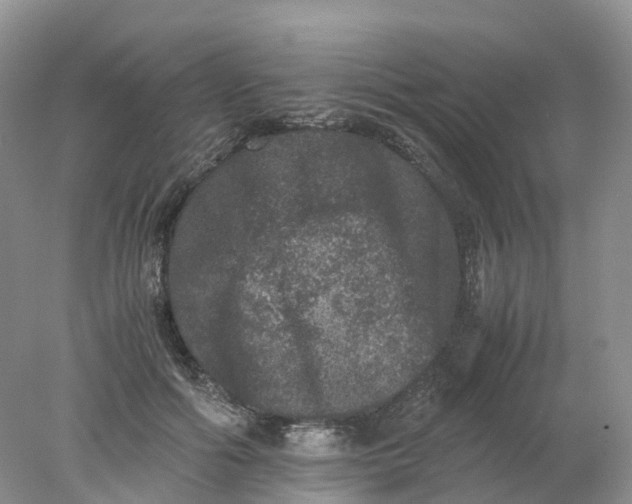 X0000078020602200611101849