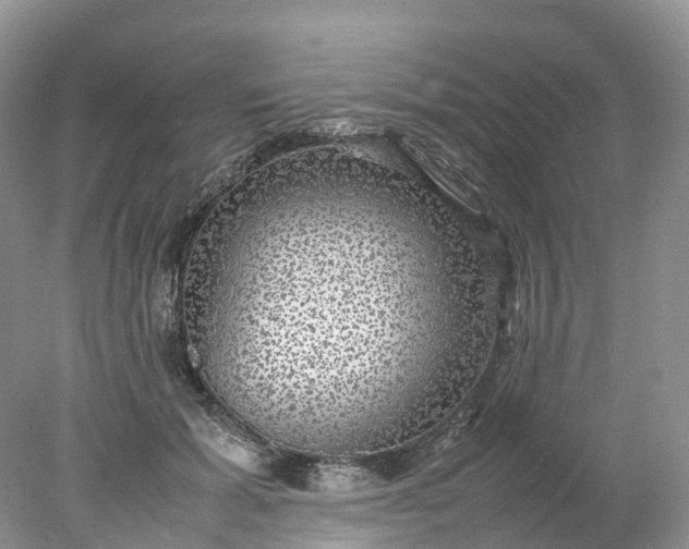 X0000078020605200611101849