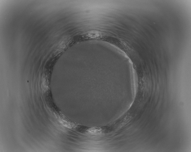 X0000078020606200611101849