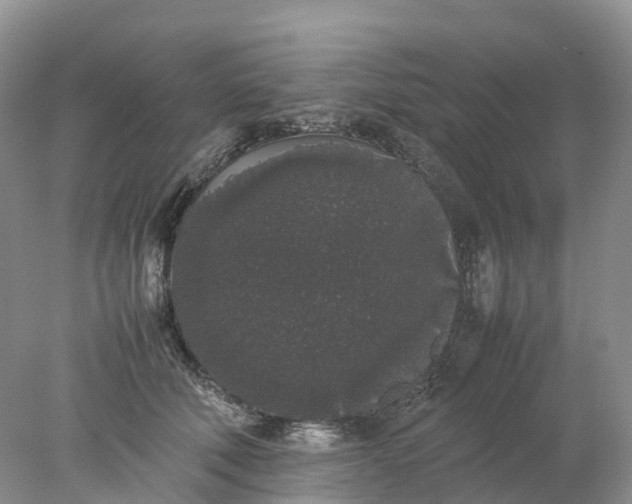 X0000078020610200611101848