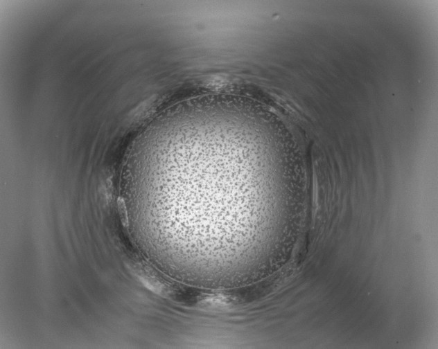 X0000078020611200611101848