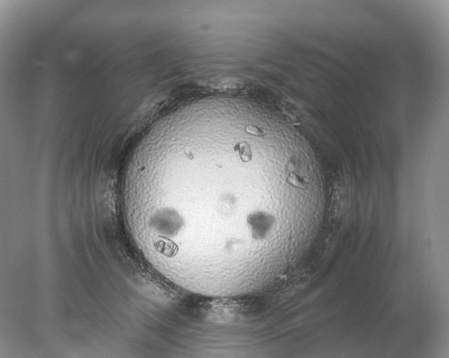 X0000078020612200611101848