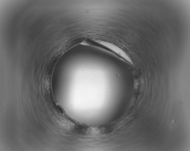 X0000078020613200611101848