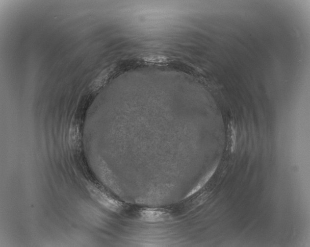 X0000078020614200611101848